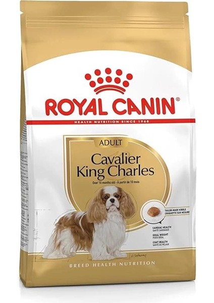 Cavalier King Charles Adult Köpek Maması 3 kg