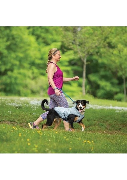 Köpekler Için Soğutma Yeleği, Yüksek Sıcaklıklarda Boyun ve Göğsü Soğutur, Yansıtıcı Malzeme indirimleri