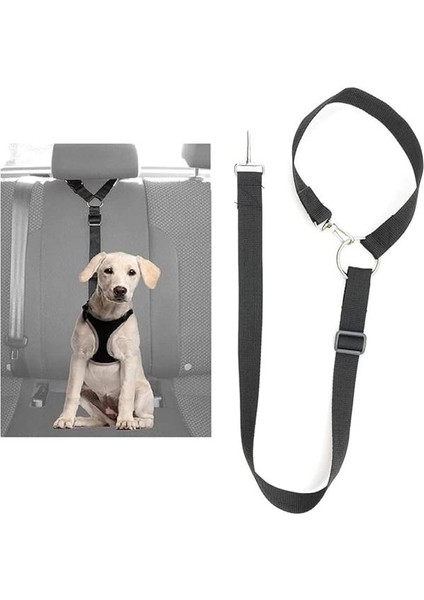 Kedi ve Köpek Araç Emniyet Kemeri Tasması Içi Yavru Evcil Hayvan Tasmaları Araba Kemer