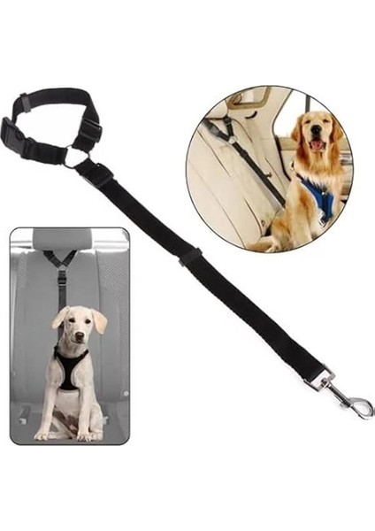 Kedi ve Köpek Araç Emniyet Kemeri Tasması Içi Yavru Evcil Hayvan Tasmaları Araba Kemer
