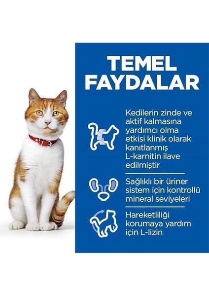 Hill's Sp Somon Kısırlaştırılmış Yetişkin Kedi Maması 8+2 kg fırsatları