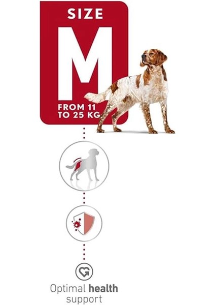 Medium Kuru Köpek Maması, Yetişkin, 15 kg fırsatları