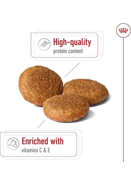 Medium Kuru Köpek Maması, Yetişkin, 15 kg