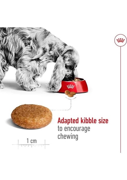 Medium Kuru Köpek Maması, Yetişkin, 15 kg