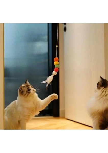 Elastik Kendinden Yapışkanlı Kedi Oyun Oltası, Dayanıklı ve Esnek Tasarım, Eğlenceli ve indirimleri