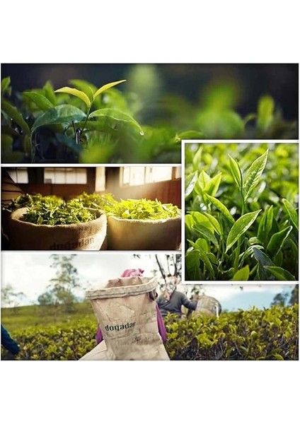 Doğadan Gizli Bahçe Demlik Poşet Siyah Çay (Klasik, 100 Adet)