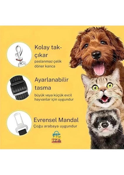 Ayarlanabilir Evcil Hayvan Araç Emniyet Kemeri – Kedi ve Köpekler Için Oto Emniyet Tasması modelleri
