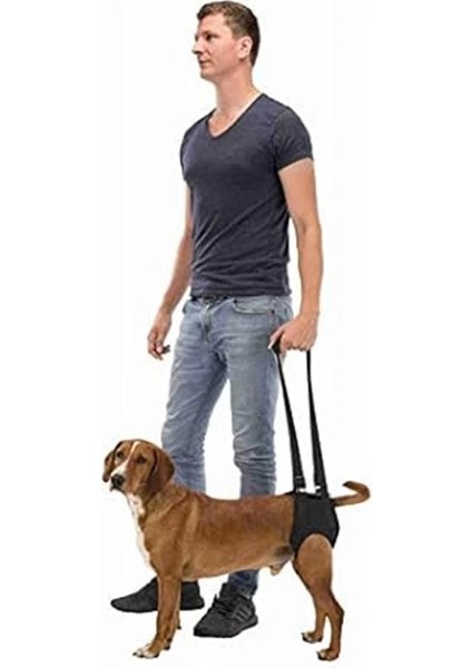 Köpek Yürüteci, Yardımcısı, L-XL:75-85CM, Siyah indirimleri