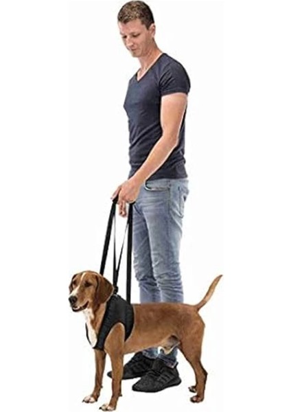 Köpek Yürüteci, Yardımcısı, L-XL:75-85CM, Siyah