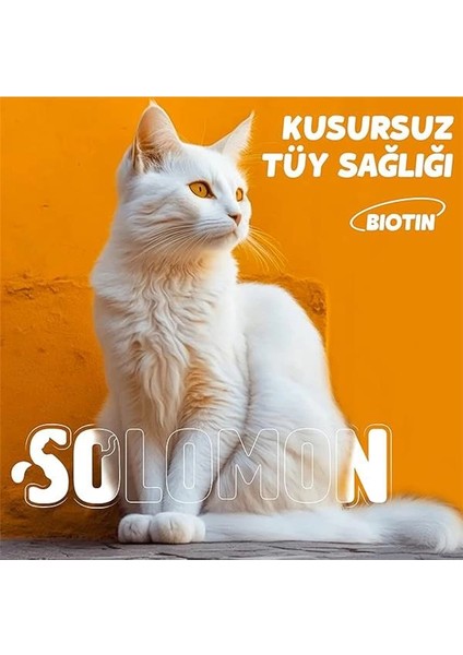 Plus+B Kediler Için Tüy Dökümünü Azaltan Besleyen Tüy Döküm Önleyici Multivitamin Damla