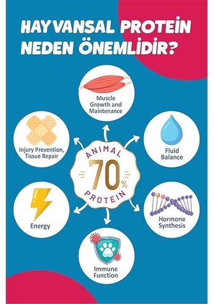 Yetişkin Küçük Irk Kuzu'lu Süper Premium Köpek Maması 9 kg Hipoalerjenik - Düşük Tahıllı - modelleri