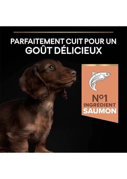 Puppy Small Somonlu Köpek Maması 3 kg indirimleri