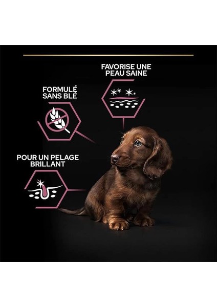 Puppy Small Somonlu Köpek Maması 3 kg