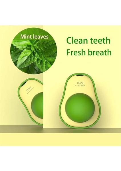 Avokado Catnip (Kedi Nanesi) Yalama Topu fiyatları