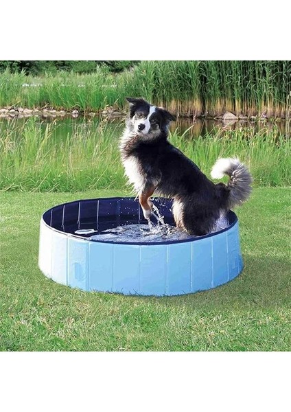 Yavru Köpek Ipten Dambıl Oyuncak, 15CM fiyatları