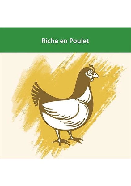 Cat Chow Sterilised Kuru Kedi Maması, Tavuklu, Kısırlaştırılmış, Yetişkin, 3 kg indirimleri