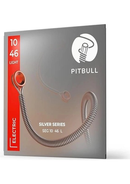 Silver Seri Elektro Gitar Teli Seg 10-46 L(Light)