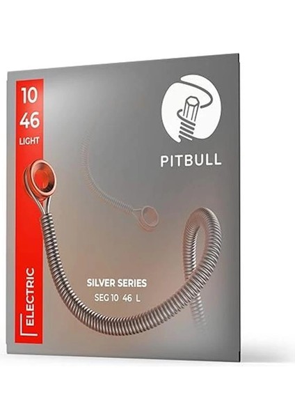 Silver Seri Elektro Gitar Teli Seg 10-46 L(Light) indirimleri