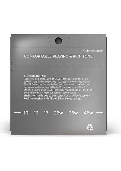Silver Seri Elektro Gitar Teli Seg 10-46 L(Light)