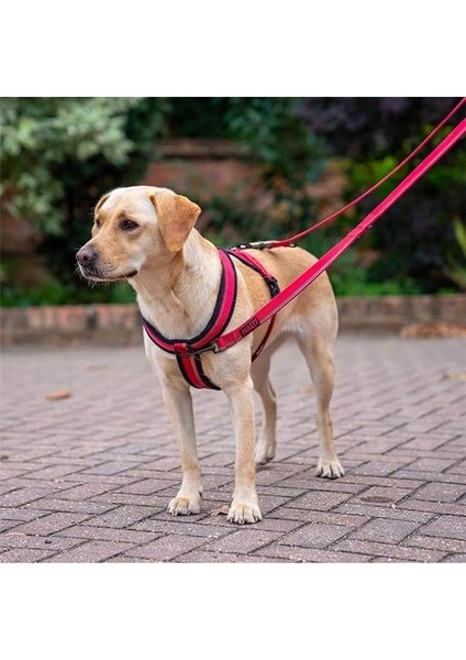 Company Of Animals Comfy Göğüs Tasması, Xl Kırmızı