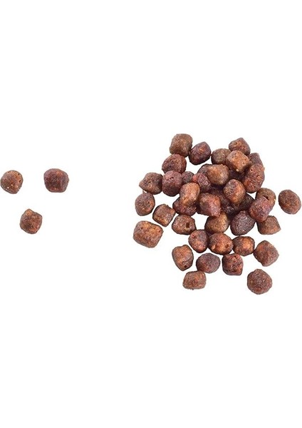 Gentle Digestion & Strong Immunity, Yavru Kediler Için, Tahılsız, Hipoalerjenik, Taze fiyatları