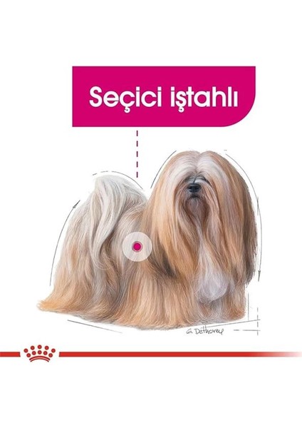Ccn Mini Exigent Köpek Maması, 3 kg fiyatları