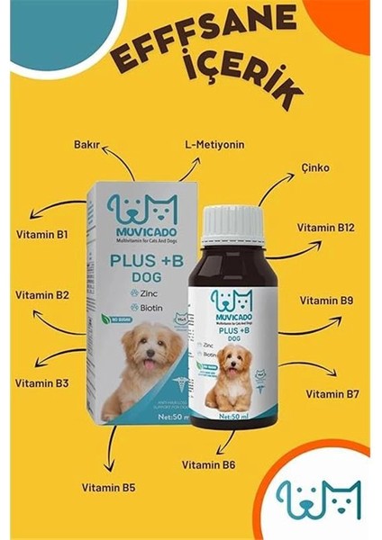Köpekler Için Tüy Sağlığı Damlası - Plus B - Köpek Tüy Vitamini - Tüy Dökülmesini Engelleme modelleri
