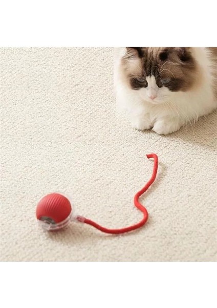 Şarjlı Kendinden Hareketli Kedi Köpek Oyun Topu – 360° Dönen Interaktif Akıllı Oyuncak