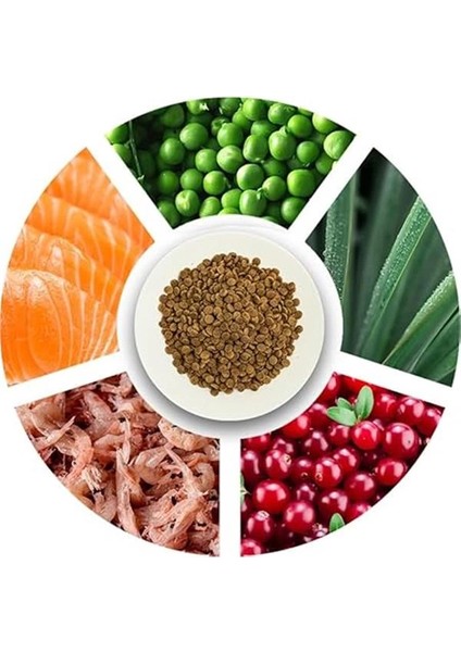 Pro 33, Kısırlaştırılmış Kediler Için, Hipoalerjenik, Somon Balıklı ve Karidesli Kuru