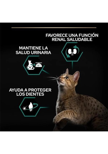 Sterilised Kısırlaştırılmış Kediler Için Somonlu Kedi Maması, 10 kg indirimleri