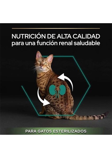 Sterilised Kısırlaştırılmış Kediler Için Somonlu Kedi Maması, 10 kg