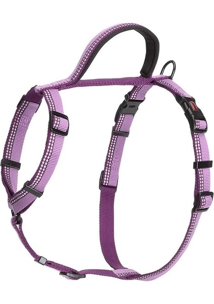 Halti Köpekler Için Yürüyüş Göğüs Tasması, L Boy, Mor