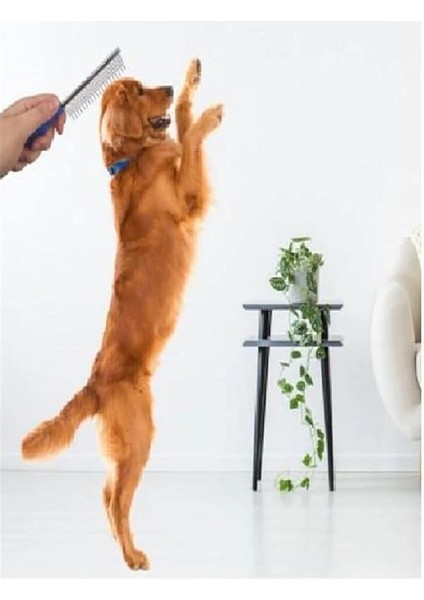 Tüy Açıcı Köpek ve Kedi Tarağı, Kıtık Açıcı Tarak Kırılmaz Metal Dişli, Evcil Hayvan Bakım Fırçası fiyatları