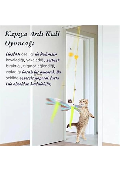 Elastik Kendinden Yapışkanlı Renkli Kedi Oyun Oltası Kedi Oyuncağı Yapışkanlı Olta Eğitim