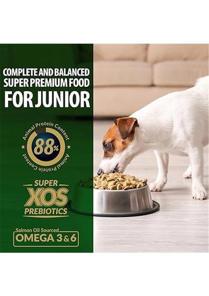 Plus Küçük&mini Irk Tavuklu Yavru Köpek Maması 3 kg