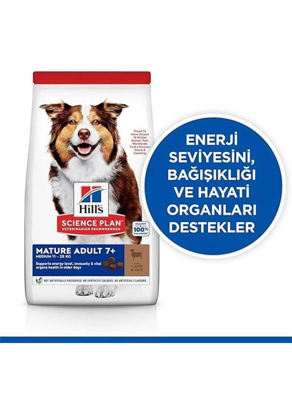 Hill's Scıence Plan Light +7 Yaşlı Orta Irk Kuzulu ve Pirinçli Köpek Maması 2.5 kg fiyatları