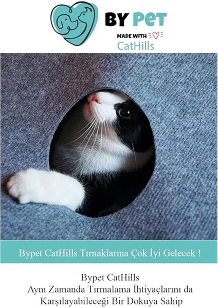 Cathills Interaktif Kedi Tepeleri Oyun Alanı ve Saklanma Tüneli