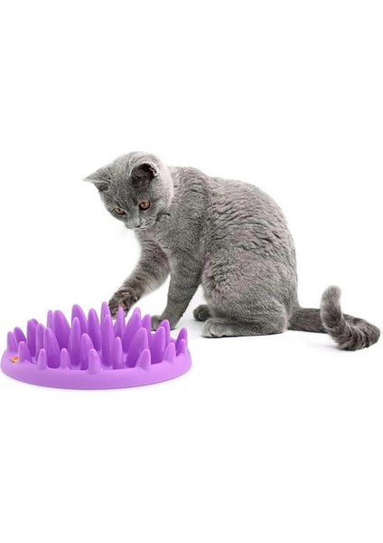 Catch Etkileşimli Yavaş Kedi Besleyici modelleri