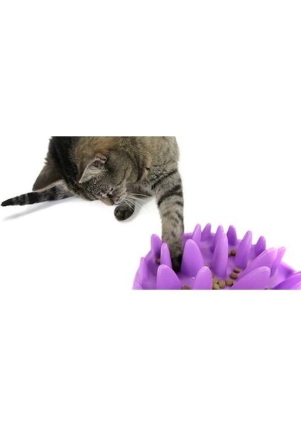 Catch Etkileşimli Yavaş Kedi Besleyici fırsatları