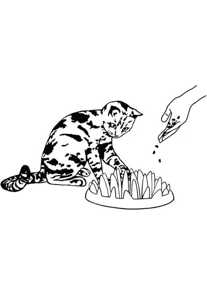 Catch Etkileşimli Yavaş Kedi Besleyici