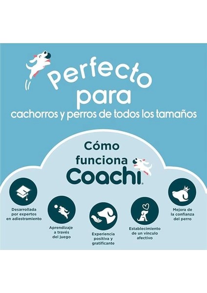 Coachi Profesyonel Köpek Eğitim ve Ödül Çantası, Lacivert Mercan Sarı indirimleri