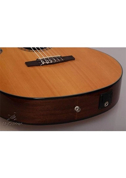 Cec5 Nat Elektro Klasik Gitar modelleri
