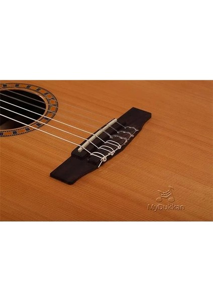 Cec5 Nat Elektro Klasik Gitar fırsatları