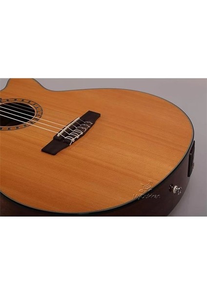 Cec5 Nat Elektro Klasik Gitar indirimleri