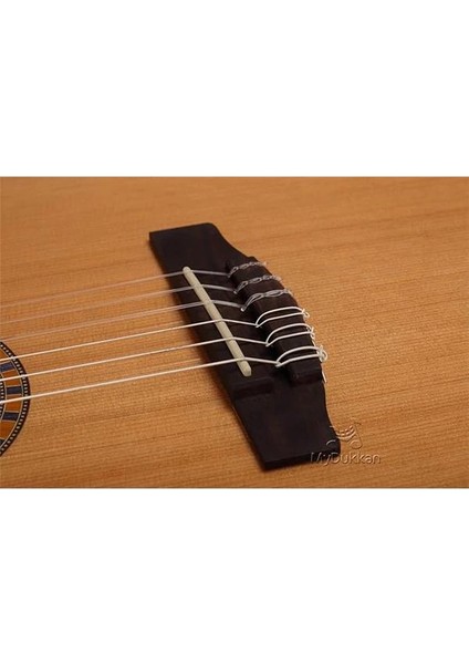 Cec5 Nat Elektro Klasik Gitar
