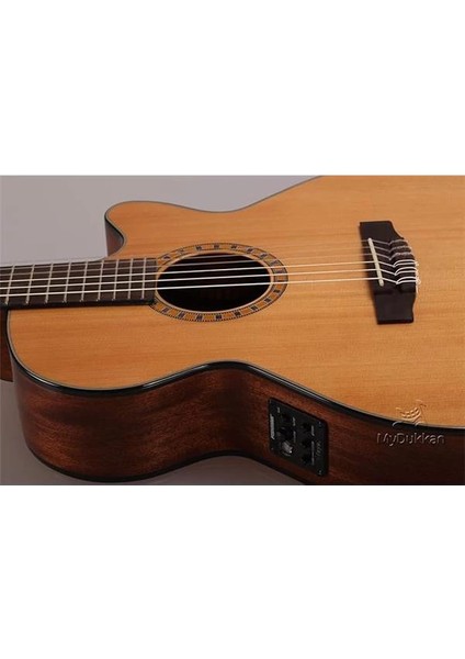 Cec5 Nat Elektro Klasik Gitar