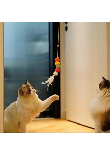 Elastik Kendinden Yapışkanlı Renkli Kedi Oyun Oltası Kedi Oyuncağı Yapışkanlı Olta Eğitim fiyatları