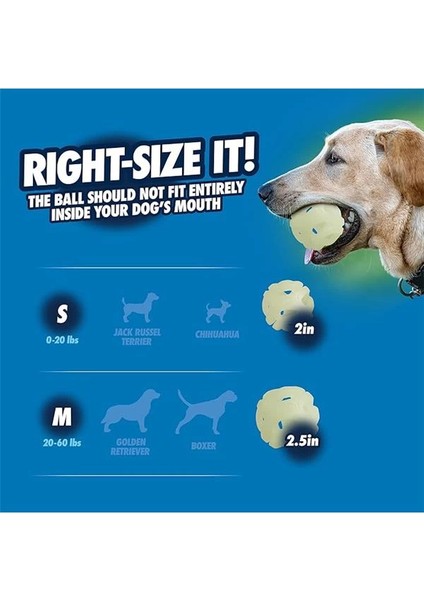 ! Air Glow Gece Parlayan At & Getir Topu Köpek Oyuncağı – 2’li Paket – (Small)