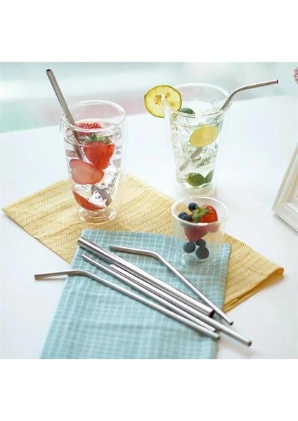 Paslanmaz Çelik Pipet, Temizleme Fırçası, Metal Pipet 2'li