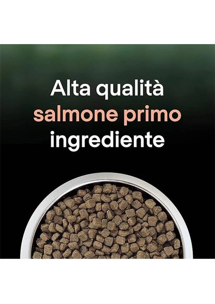 Liveclear Somonlu Kısırlaştırılmış Kedi Maması 1.4 kg indirimleri